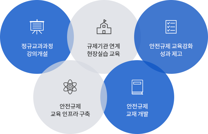 정규교과과정 강의개설, 규제기관 연계 현장실습 교육, 안전규제 교육강화 성과제도, 안전규제 교육 인프라 구축, 안전규제 교재 개발